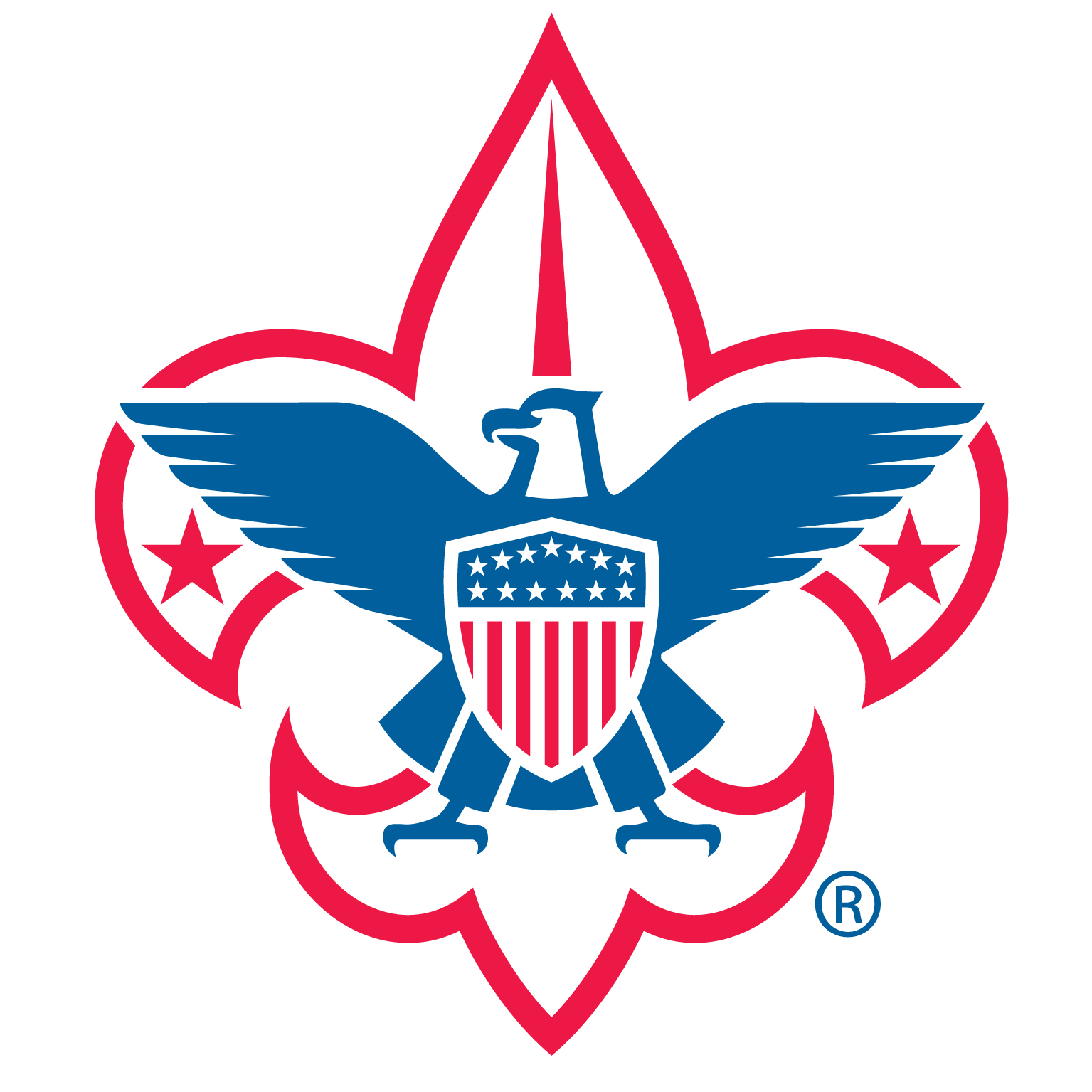 BSA Eagle logo
